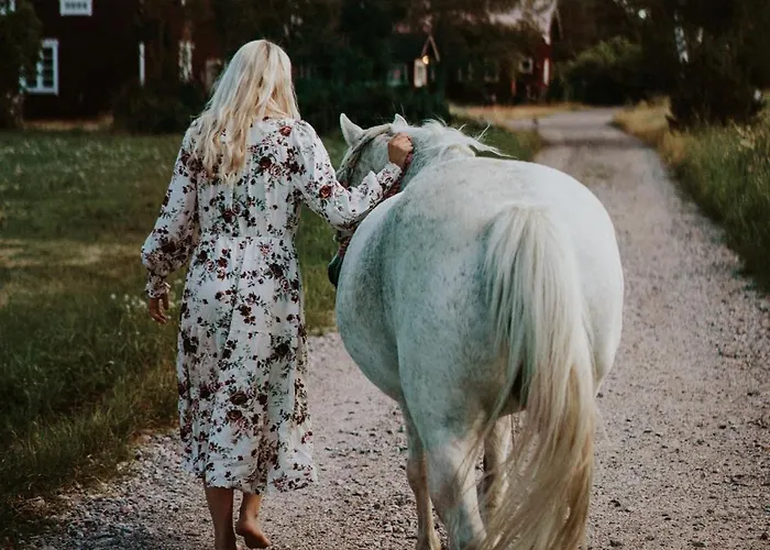 Tackork Gard & Marina Maatilamajoitukset *